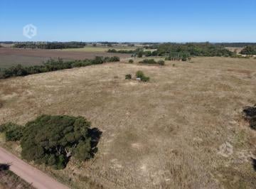 Quinta vacacional · 45000m² · Quinta de 4 Hectáreas a m del Centro de La Ciudad