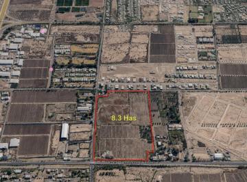 Terreno , Luján de Cuyo · En Venta Excepcional Finca Sobre Calle Terrada - Ideal Loteo - Luján de Cuyo