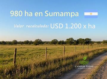 Campo , Sumampa · Vendo 980 Ha Premium en Puerta del Monte, Dpto. Quebrachos Santiago del Estero