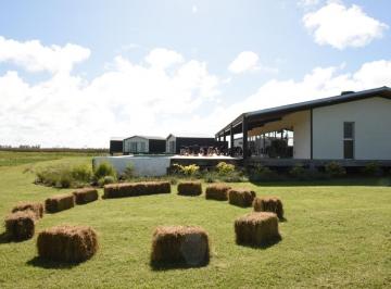 Campo · 1340m² · 9 Ambientes · Venta Chacra en Saladillo