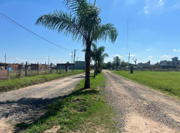 Terreno · 312m²