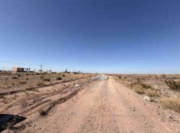 COO-COO-201_2 · Lote. | Centenario