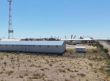 Bodega-Galpón · 1000m² · 2 Ambientes · Galpón - Añelo