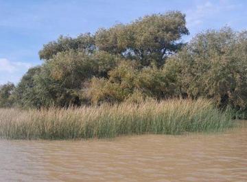 Terreno · 1985m² · Venta Lote 17 en 1era Seccion de Islas del Delta del Tigre