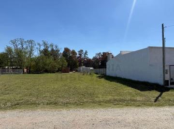 Terreno , General Belgrano · Lotes de 12,5 X 50 (625 M&sup2;). Ubicado en Calle 155 E/ 50 y 52 – General Belgrano.