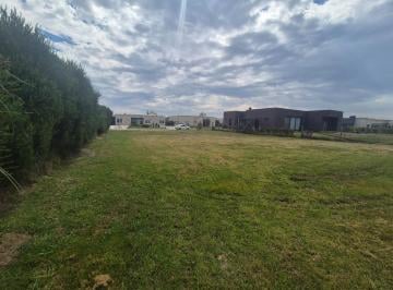 Terreno · 790m² · Venta Terreno Barrio Manuel Belgrano Escobar