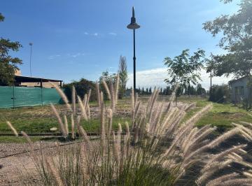 Terreno · 957m² · Terreno - Carrodilla