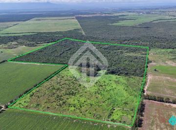Campo , General Güemes · Campo en Venta de 50 Has en General Güemes – Provincia de Salta