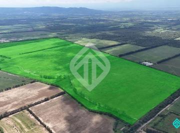 Campo , Pampa Blanca · Campo Agricola en Venta de 196 Has Ubicado en Pampa Blanca – Provincia de Jujuy
