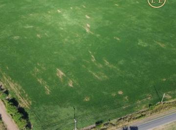 Campo , San Andrés de Giles · 7.8 Hectáreas 100 % Agrícolas - Ideal Chacra