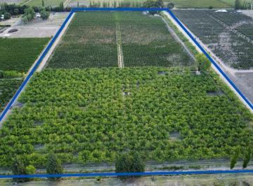 Campo · 100000m² · 3 Ambientes · Finca Sobre Ruta 171 10ha San Rafael Mendoza
