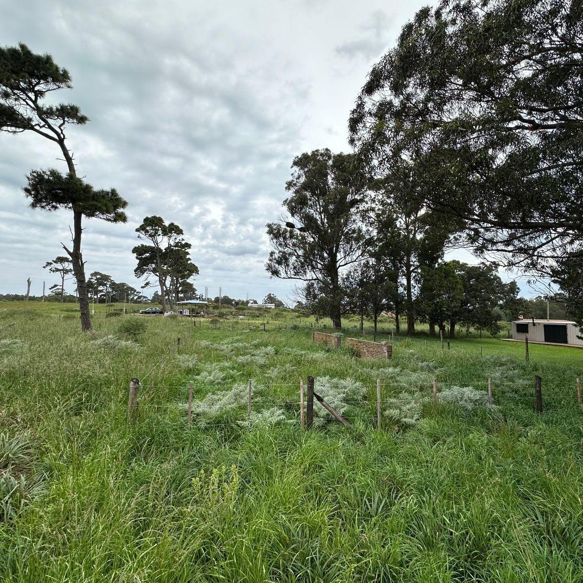 Lote en venta de 480m² en San Eduardo de Chapadmalal, ideal para construir