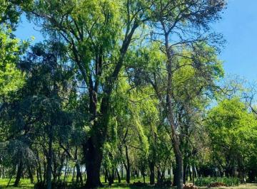 Terreno , Presidente Perón · Terreno de 800 m² en Venta en Club de Campo El Candil