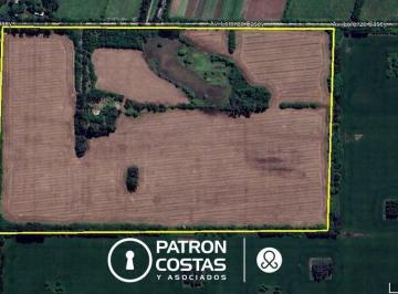 Imagen 1 · Venta Campo Agricola Lujan Ruta 5 - 38 Ha