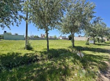 Terreno · 300m² · Venta · Terreno · Tierras de Sueños Alvear · La Carolina