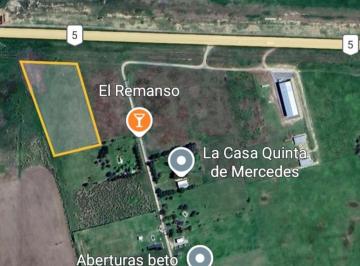 Campo · 10000m² · 1 Ambiente · 1 Ha, Sobre Ruta 5.