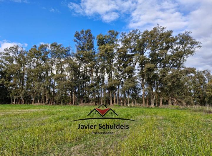 Campo · 67900m² · 1 Ambiente