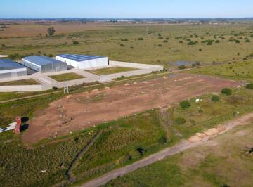 Bodega-Galpón · 1018m² · Nave Logística 1.018 m² | Autopista Rosario - Buenos Aires