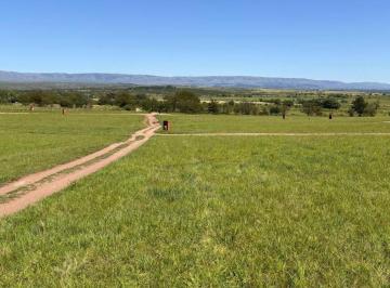 Terreno · 1000m² · Lote Terreno en Venta Los Reartes Punto Claro