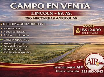Campo · Campo - Roberts