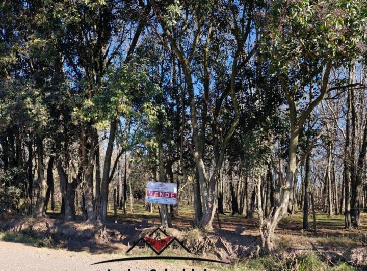 Consultorio · 1m² · 1 Ambiente
