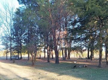 Campo · 80000m² · Venta de Campo en La Primavera Tunuyán