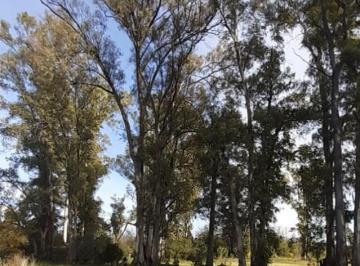 Terreno · 2000m² · Excelente Lote de 2000 m², Sobre Asfalto, Muy Lindo Lugar.
