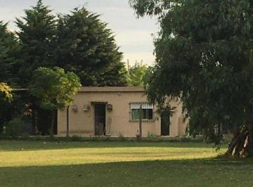 Campo de 3 ambientes, Merlo · Hectárea en Venta de 10000 m² - Pontevedra