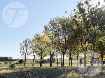 Terreno · 1050m² · Loteo Lago de Obligado – San Pedro | Financiación en Dólares | Escritura Inmediata