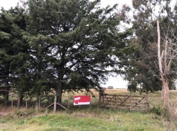 Campo · 65000m² · Chacra en Venta - 642.074 m² - Magdalena