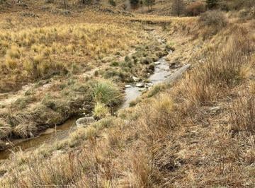 Quinta vacacional · 50000m² · Vendo 5 Has de Campo en Pampa Alta - Potrero de Garay