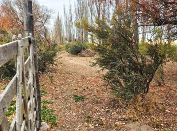 Campo , San Rafael · Vendo Finca en Las Paredes, San Rafael