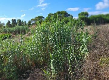 Terreno · 600m² · Lotes en Venta