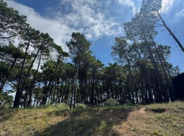 Terreno · 974m² · 3021 - Isla del Golf