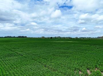 Campo · 2870000m² · San Andres de Giles - 287 Ha Agricola