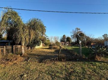 Terreno · 500m² · Terreno en Irigoyen