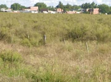 Terreno · 85000m² · Terreno en Venta - 8,5 Hectáreas - Villa Elvira, La Plata