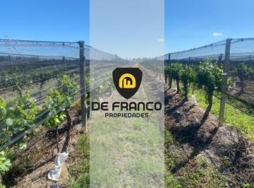 Campo · 300000ha · Finca en Venta, El Borbollón, Mendoza.