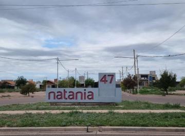 Terreno , Luzuriaga · Lote en Venta de 480 m², Barrio Natania 47, Luzuriaga, Maipú
