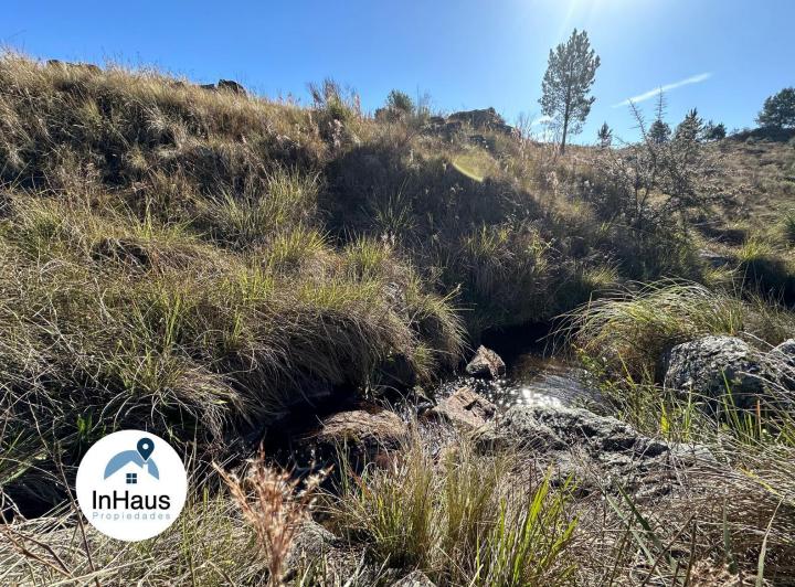 Terreno · 3988m²