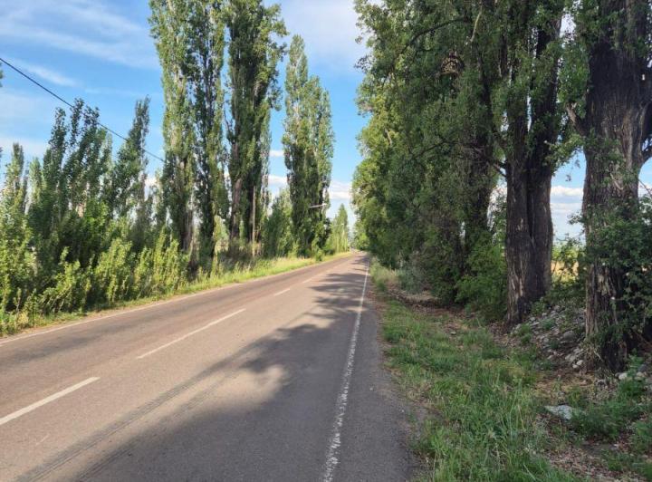 Campo · 5ha