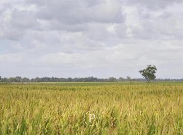 Campo · 1260000ha · 6 Ambientes · Venta Campo en Santa Clara del Mar