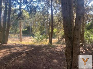 Terreno · 1484m² · Terreno en Venta - 1.484 m² - Cariló