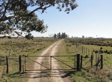 Campo · 580000m² · Campo Ganadero - 58 Has Sobre Ruta N° 29