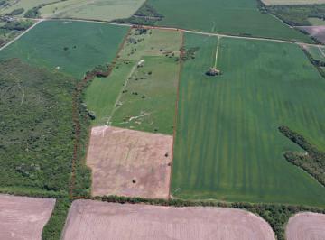 Campo · 240000ha · Campo con Casa en Colonia – 24 Ha | Cerca de Nueva Palmira | Buen Acceso