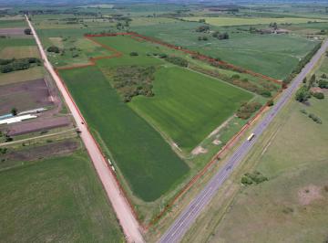 Campo · 300000ha · Campo Agrícola 29 Has en Venta | Frente Ruta 12 | a 13 Km Nueva Palmira