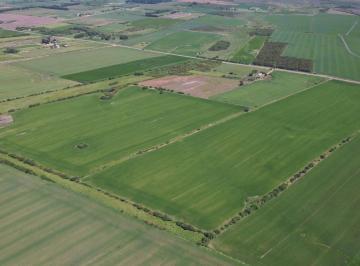 Campo · 410000ha · Campo Agrícola en Colonia – 41,6 Ha | Frente a Ruta 97 | Excelente Ubicacion