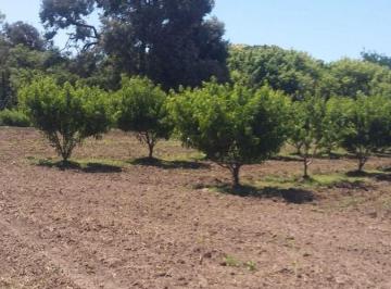 Terreno , La Granja · Terreno 2 Hectáreas en Los Molles, La Granja Escritura y Agua