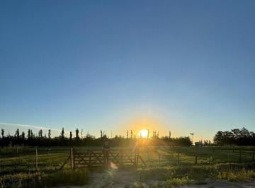 Terreno · 600m² · Lote Venta Diego Gaynor, Pueblo Rural