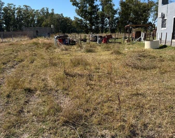 Terreno · 242m²